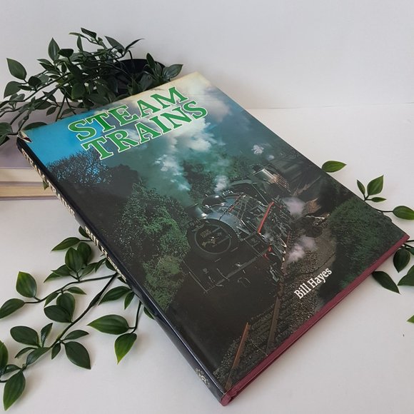Book Steam Trains by Bill Hayes Galahad Books Travel History Railroad Railway - Picture 6 of 9